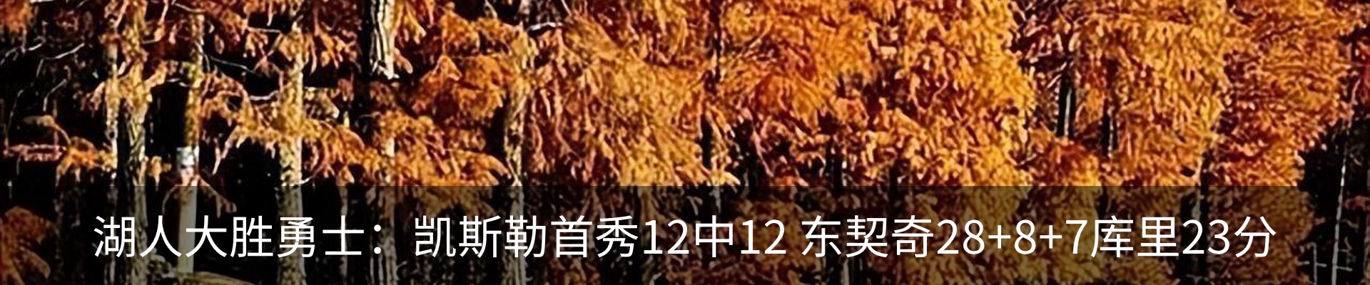 内页banner