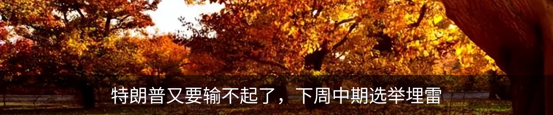 内页banner