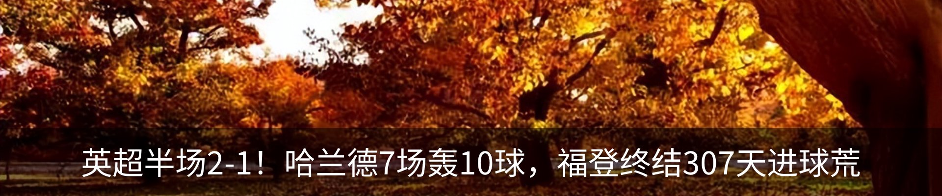 内页banner