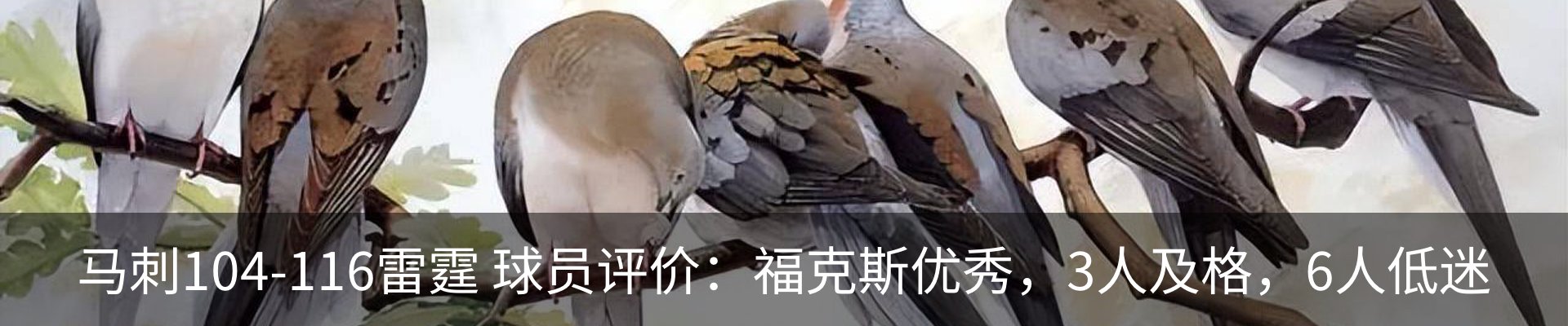 内页banner