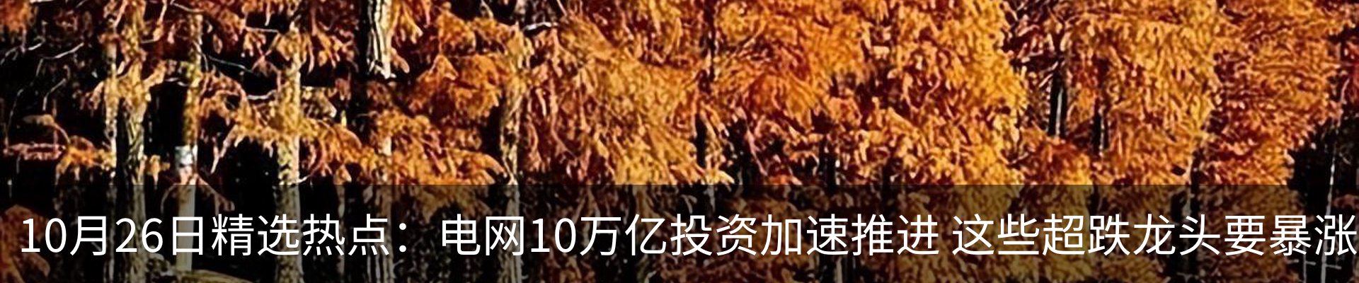 内页banner